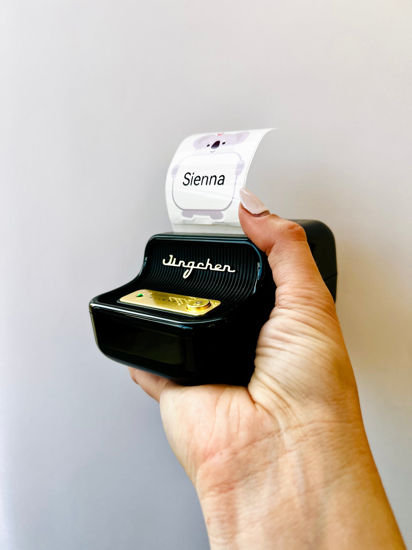 Assorted Animal Labels - 50*60mm 150 per roll 🐨🐧🐻