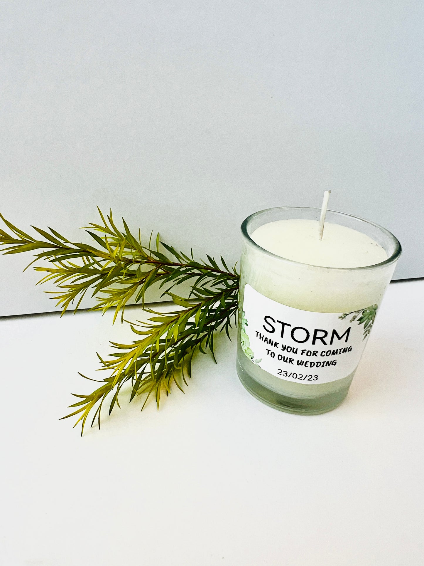 Medium Succulent Labels - 50*30mm 230 per roll 🌵