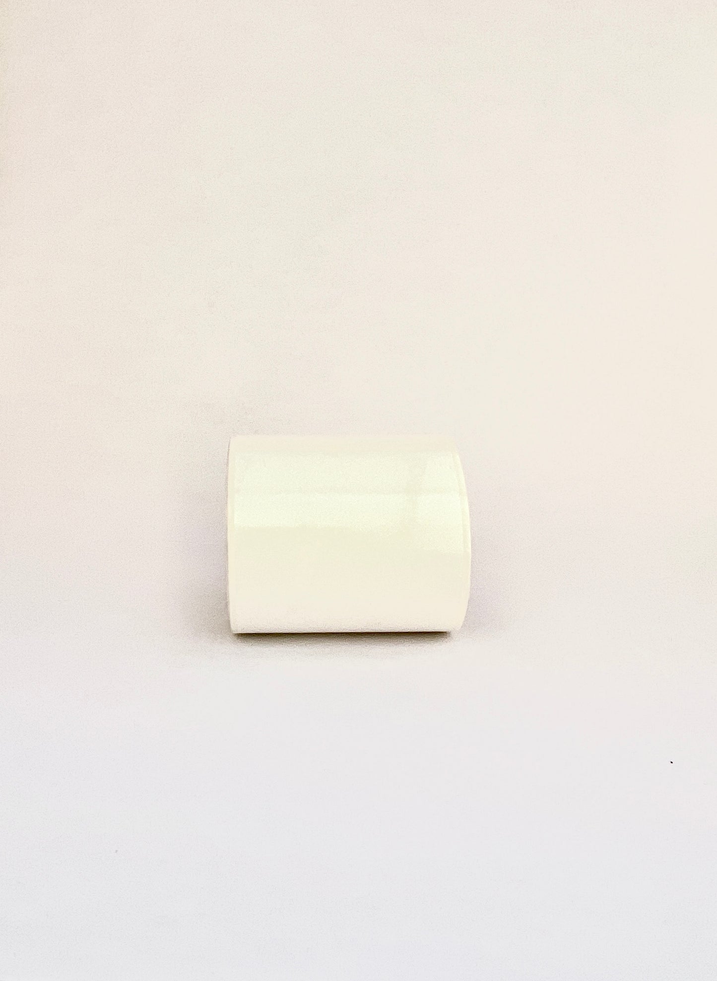 Double Extra-Large White Rectangular Labels - 45 per roll ▭